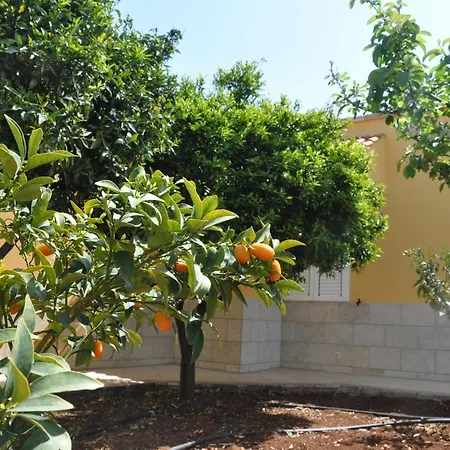 Dimora Dell'ulivo * Polignano a Mare