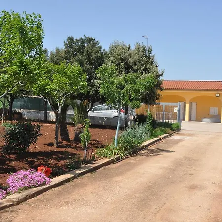 Dimora Dell'ulivo וילה פולינאנו א מארה